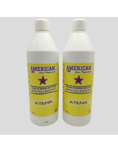 Promo American 2 ammorbidente-ilregnodelloshop.it