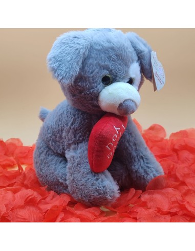 Orsetto Peluche Grigio con Cuore "I Love You" - Regalo Romantico per San Valentino-ilregnodelloshop.it